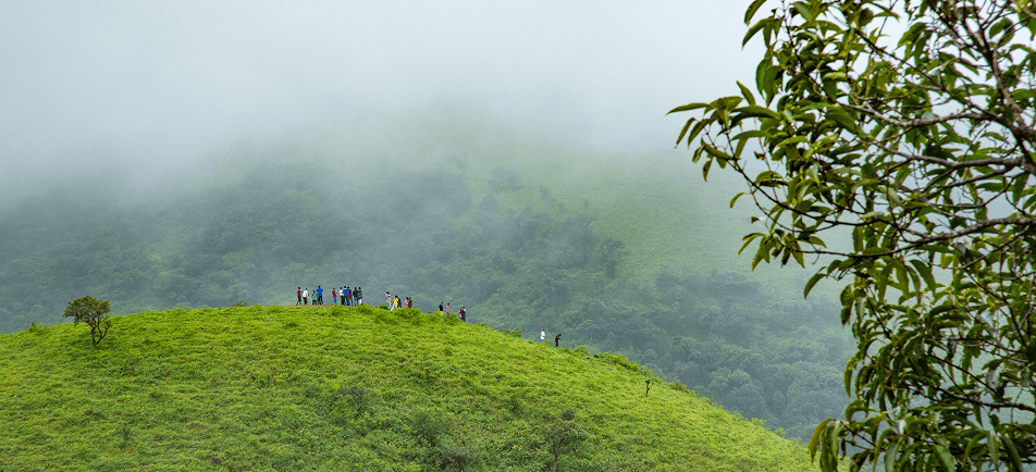 Three-Day Itinerary for Chikmagalur: The Ultimate 72-Hour Travel Plan
